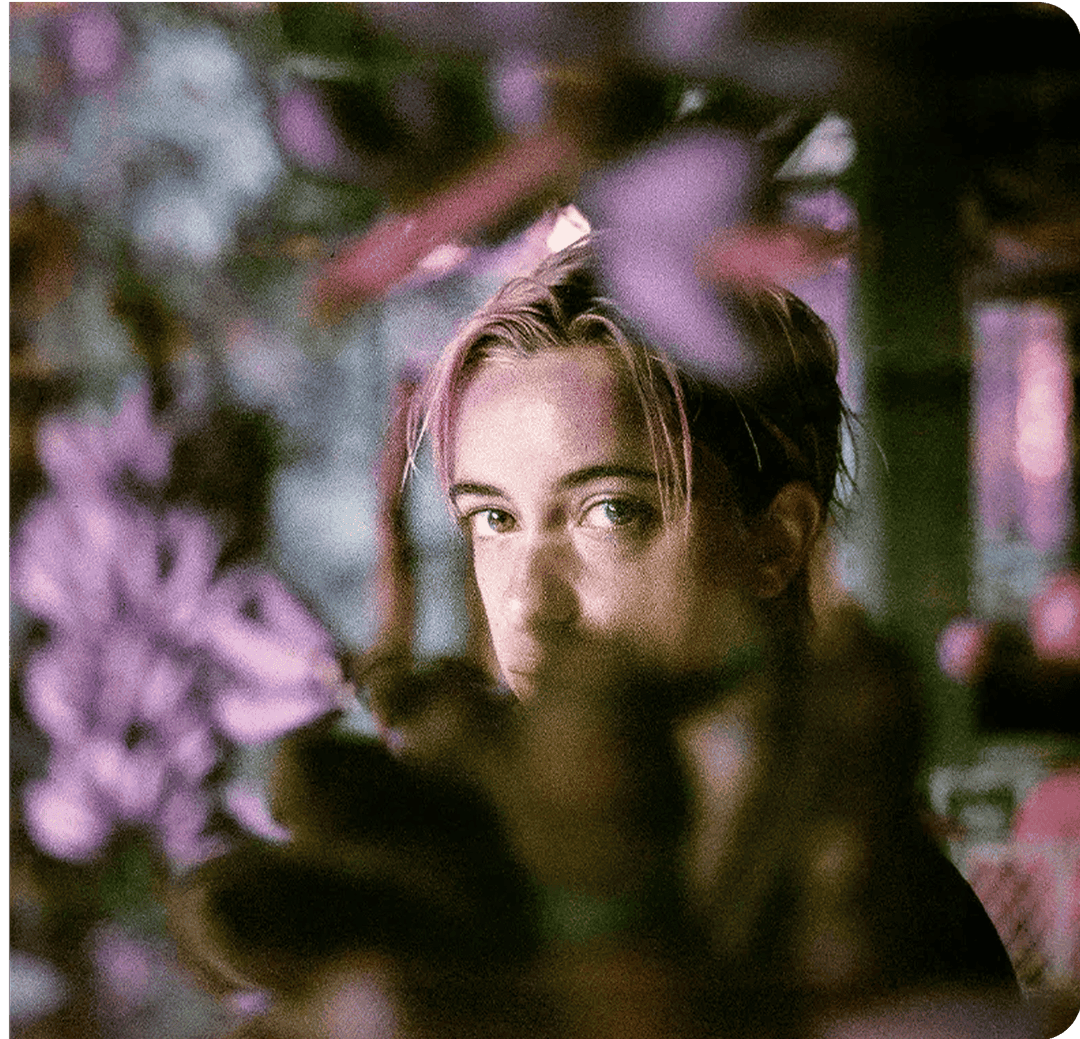 Premiere Pro image