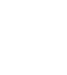 YouTube icon