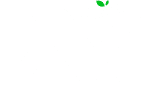 Nest Nepal Logo
