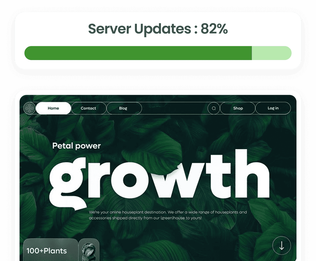 Backups and Recovery