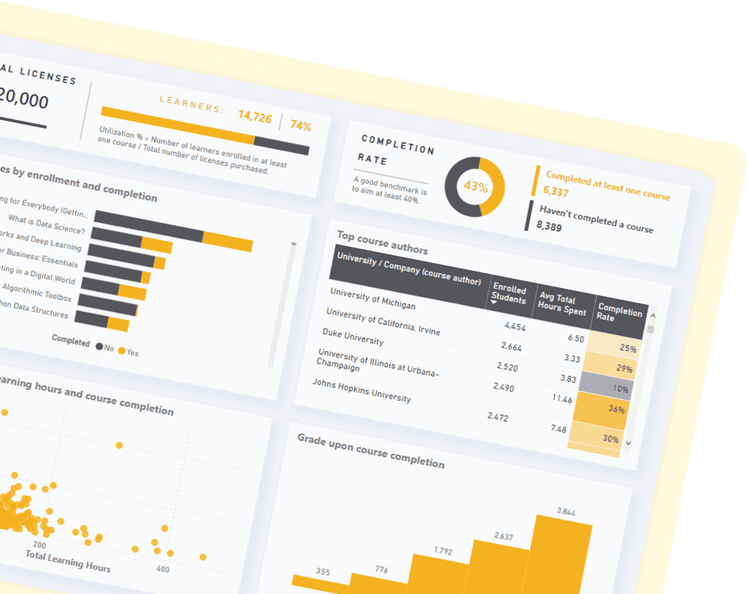 Microsoft Power BI Bottom
