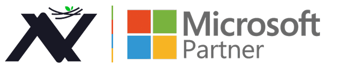 microsoft partner