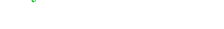 Nest Nepal Logo