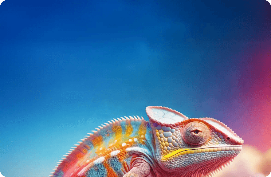 Adobe Illustrator Pro - Vector Design Software in Nepal