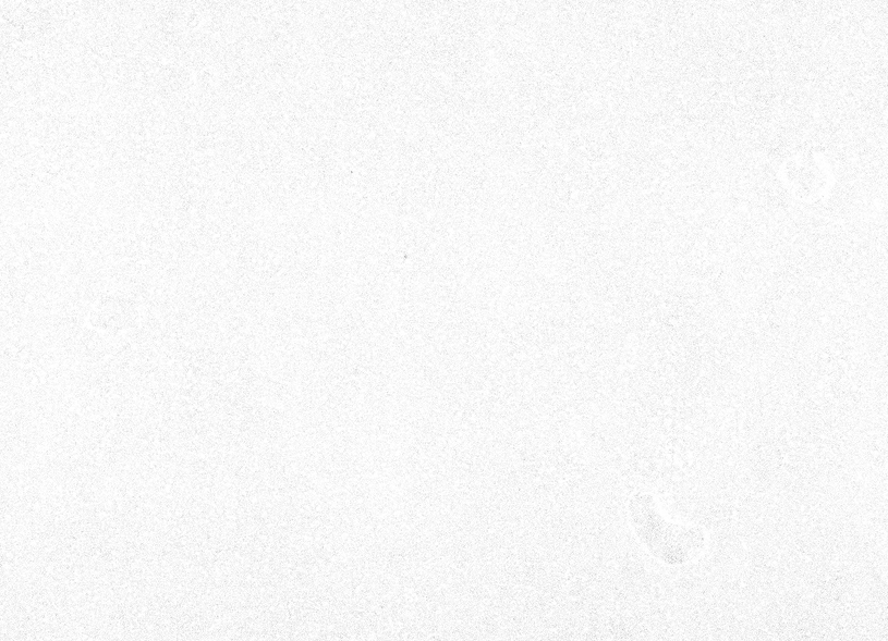 Paper cut texture