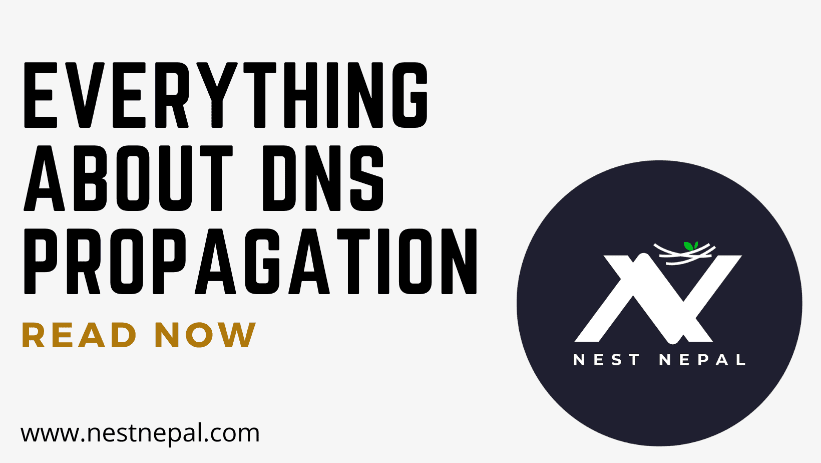 dns propagation