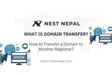 What is Domain Transfer