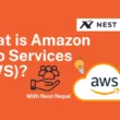 Amazon Web Services (AWS)