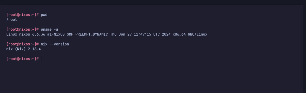 NixOs Installation on Hetzver VPS