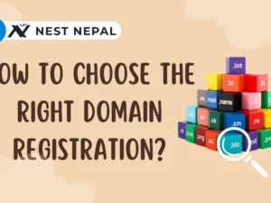Domain Registration