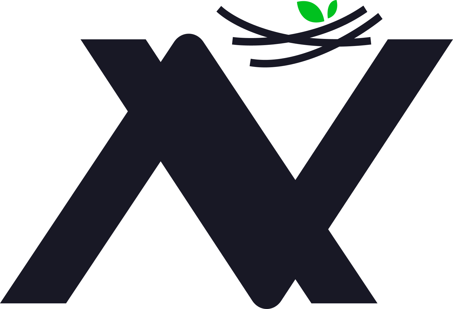 nest nepal logo